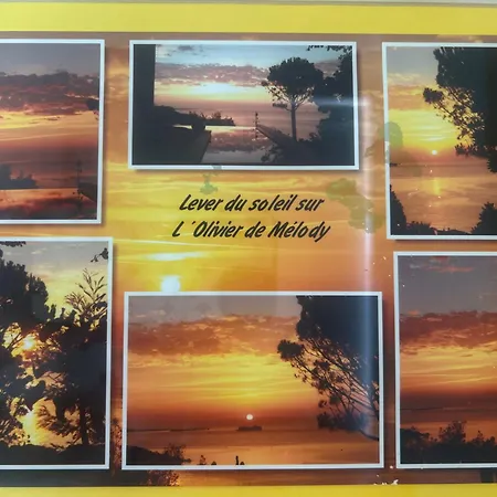 Lejlighed L Olivier De Melody